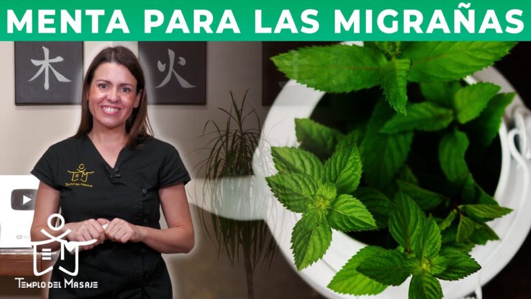 Alivio de Migra&ntilde;as con Aromaterapia en Spa