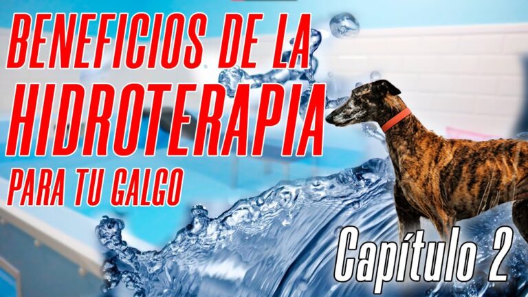 Hidroterapia: Clave para la Mejora del Rendimiento Deportivo