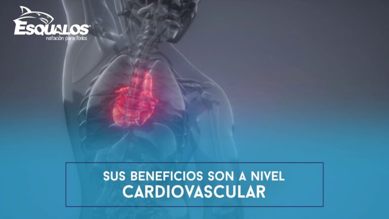 Beneficios de la Nataci&oacute;n para la Circulaci&oacute;n Sangu&iacute;nea