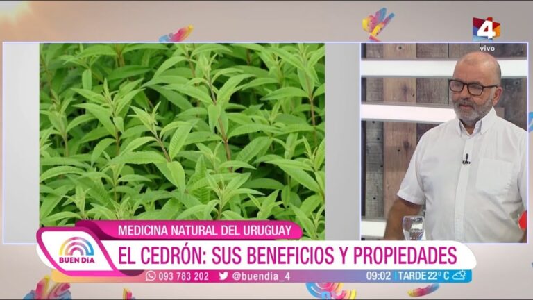 Beneficios de la Aromaterapia para la Recuperaci&oacute;n Muscular