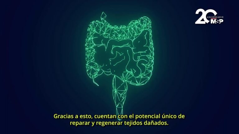 Estrategias Efectivas en Terapias para el Tratamiento del Eczema