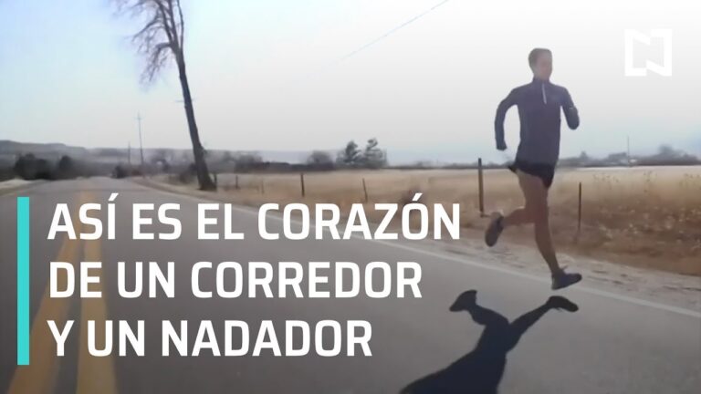 Fortalecimiento Cardiaco a Través de la Natación