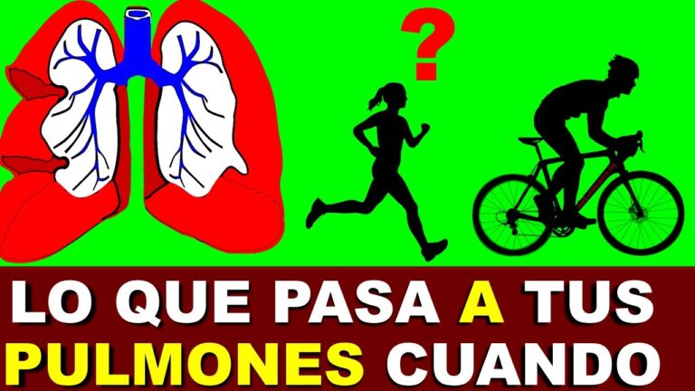 Beneficios del Ejercicio F&iacute;sico para el Sistema Respiratorio