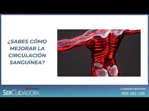 Mejorando la Circulación Sanguínea con Tratamientos de Spa