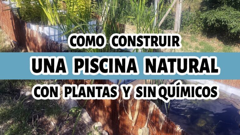 Beneficios de los Ba&ntilde;os de Lodo en Balnearios