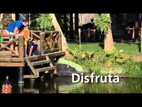 Bienestar y Confort: Spa en Hoteles de Lujo