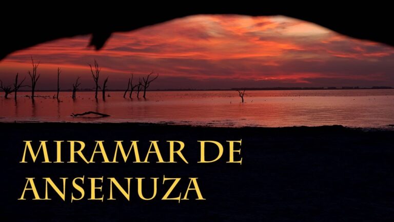 Descubre Experiencias Únicas en Balnearios de Categoría
