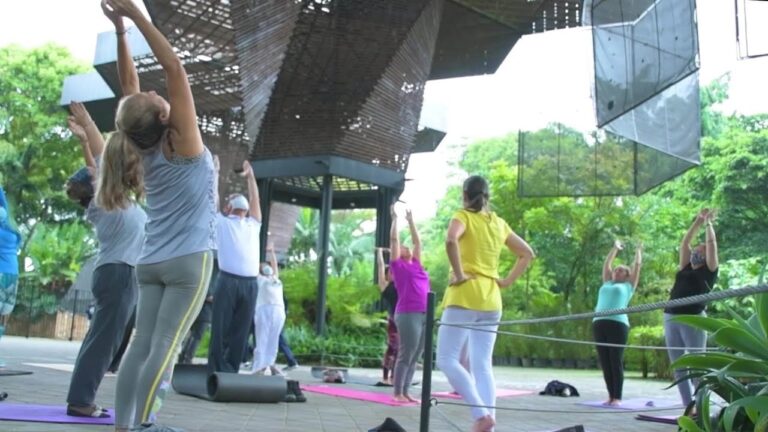 Bienestar Mental y Emocional: La Experiencia del Spa